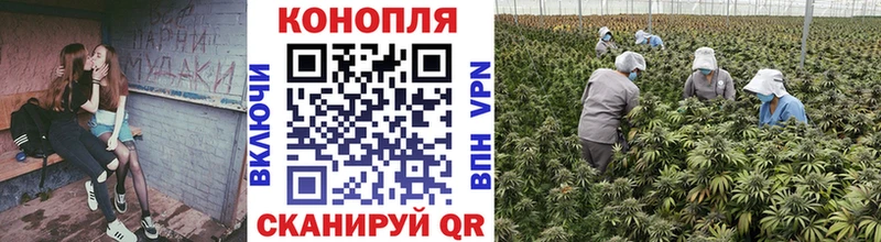 Наркошоп купить A-PVP  Кокаин  ГАШИШ  МЕФ  Канабис  Зеленодольск