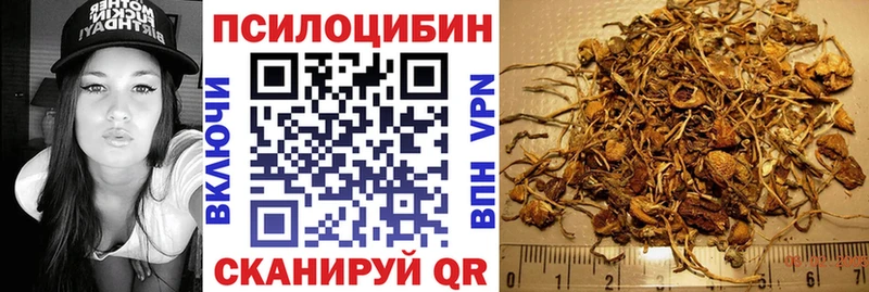 Псилоцибиновые грибы Cubensis Зеленодольск