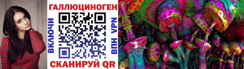 Псилоцибиновые грибы Magic Shrooms  Купить где  Зеленодольск 